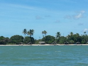 where the peixe-bois (manatees) live.  they were out when I visited 