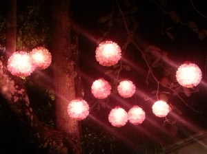 a sucker for twinkly lights