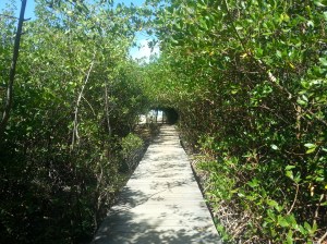 even the walkway to the beach is romantic...